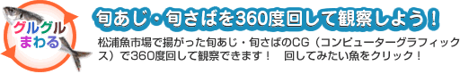 旬あじ・旬さばを360度回して観察しよう！