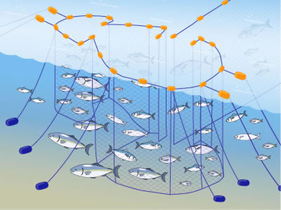 定置網漁法