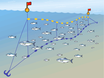 刺し網漁法