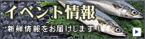 松浦魚市場・西日本魚市のイベント情報