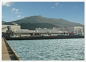 海と山に囲まれた松浦魚市場