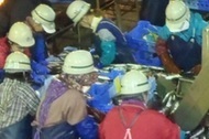 水揚げされた魚の選別と、荷役をする人