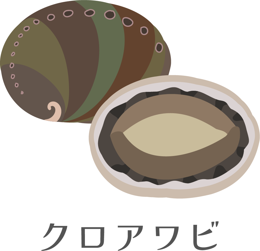 アワビのイラスト