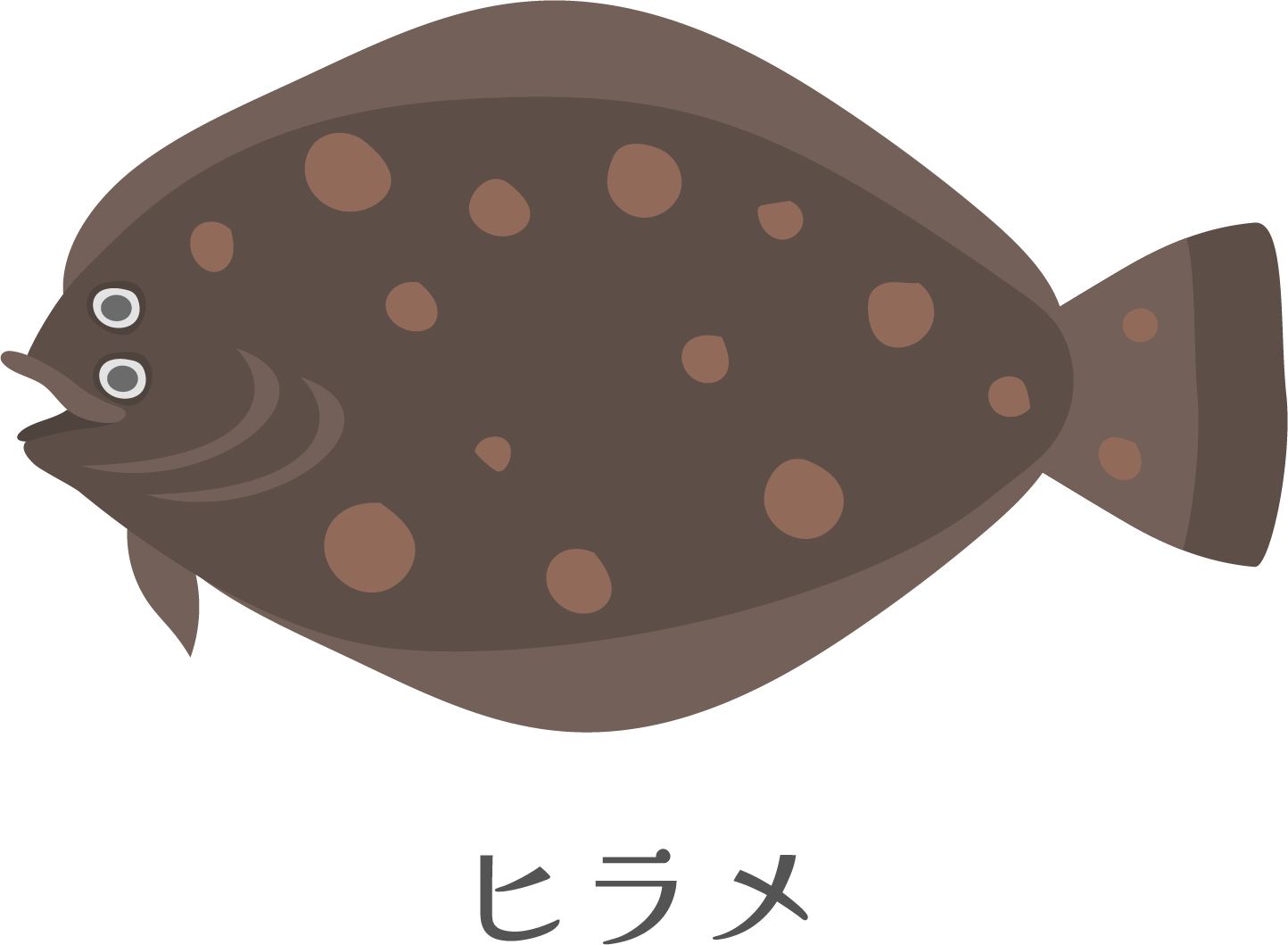 ヒラメのイラスト