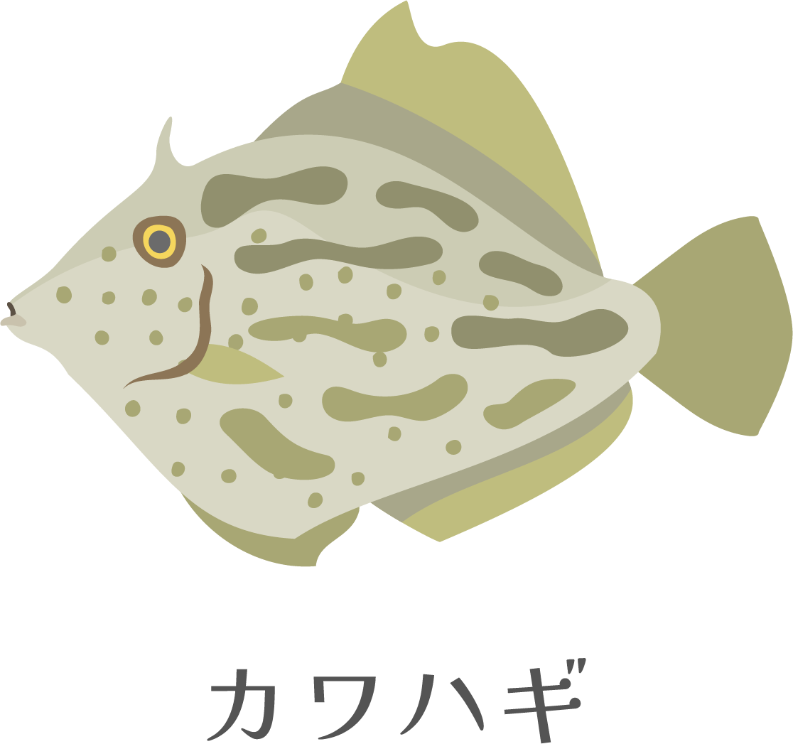 カワハギのイラスト