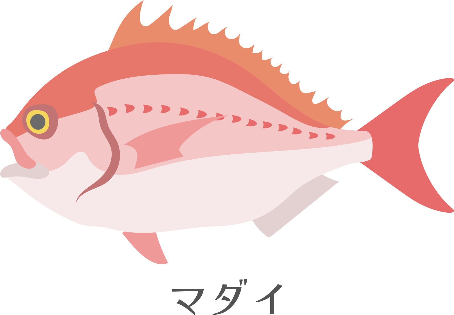 タイのイラスト
