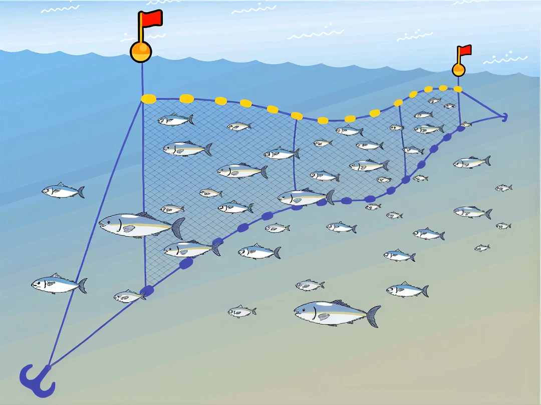 刺し網漁法の様子