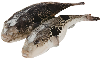 長崎ふく