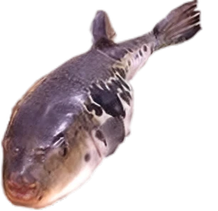 長崎ふく